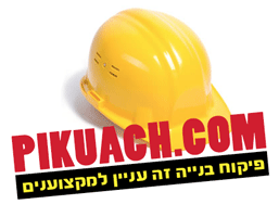 פיקוח בניה